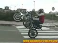 palamos x treme