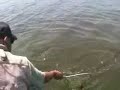 Ahjumawi State Park- Football Sized Trout - July 2, 2008