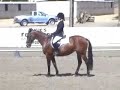 Chip Stables