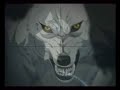 Wolf\