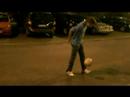 robiniga2