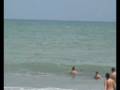 videos de Surf in Pipa.wmv