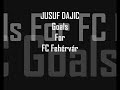 Jusuf Dajic goals for FC Fehérvár