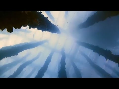 Imagen de previsualización de YouTube