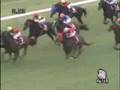 AJCC動画19
