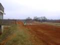 Cross Creek MX