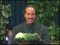 Dr. Bob\