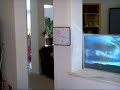 Holographic TV - the Future of Television