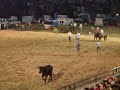 Jason Bickmore in the Wild Cow Milking Event