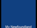 Western Newfoundland - Adventure and Activities Dog Sledding