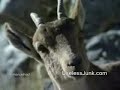 رجل يصاب بغيبوبة ويصرح بدفنه
