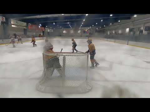 Predators vs Jr Canes Travel Highlights