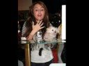 New Miley Cyrus Pictures at Millions of Milkshakes