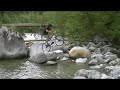 ( Bike Trials, Stock, ) Richmond Trials - Funeral