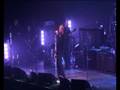 videos de Paul Weller Live Wild Wood