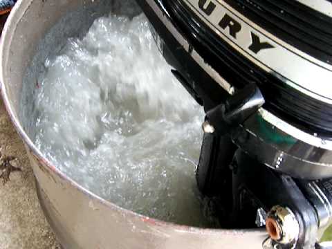 Mercury 3.9hp outboard motor running after carb work, and impeller change