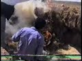 ??? ?????? ????? ???? ??? ?? ????? abdessalam doukhana 3