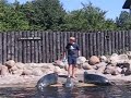 Fokarium Hel - odwrażliwianie/przeciwwarunkowanie dotyku