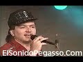 Grupo Pegasso 