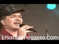 Grupo Pegasso 