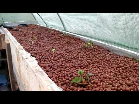 ... filter) for Deep Water Culture, How to, MAD Aquaponics Philippines