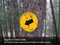 National Deaf Disc Golf picture slideshow