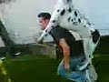 Doggy style - Michael gets his head stuck in a plastic dog!