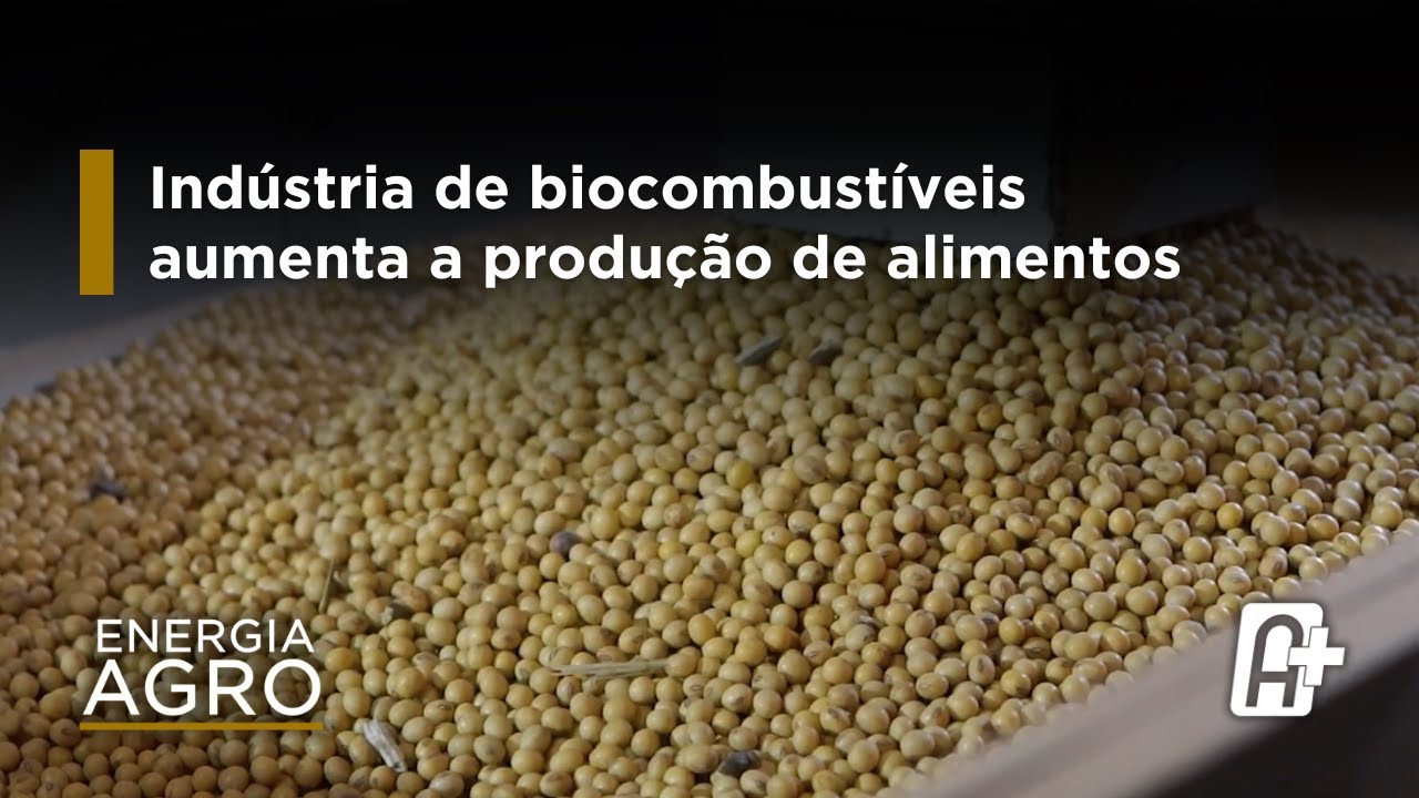 Combate à fraude nos biocombustíveis impacta diretamente na geração de empregos e sustentabilidade