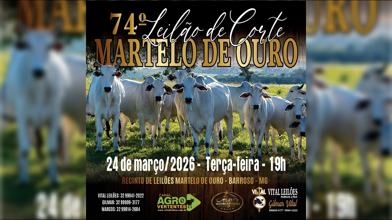 74º LEILÃO MISTO MARTELO DE OURO - BARROSO/MG - 24/03/2026