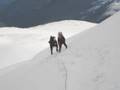 videos de GRAN PARADISO 4061m