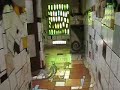 hundertwassers toilet