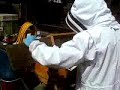 Bee extraction at TMG property 4005 part 2