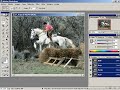 Videos