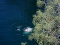 here's me jumping off of the whiskeytown bridge into the water 65 feet below. taken on august 8th, 2007.