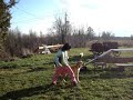 Cinny, Luna et Loky, agilit� et freestyle
