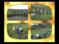 le groupe jamoraye dans paix en casamance