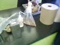 Biology Lab with Pigs Part 3
