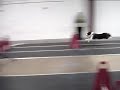 NRR - Turkey Trot - Without A Paddle
