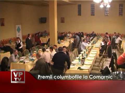 Premii columbofile la Comarnic