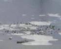 Lutynki jezioro Zbiczno 2006