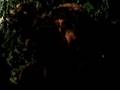 Bigfoot Found Granny Mae Meets Bigfoot Part 5