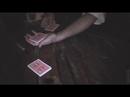 Kamm Live ACR