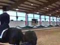 karolinger, trak stallion