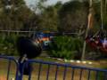 sky coaster selva magica(guadlajara)