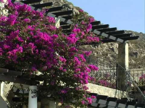 Bodrum