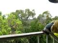 videos de house handrail preparation and first coat