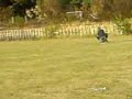 mini motorcrash