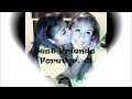 On Friday, February 24, 2012, at approximately 5:30 pm, the Belvidere community was turned upside down. Brenda Gutierrez, 16, and Thalia Arredondo, 16, were traveling south bound on Rt 76 on their way to a basketball game. The girls lost control of their car and went into the north bound lane, striking an oncoming SUV. Both girls were pronounced dead at the scene Show your love for these gorgeous girls (Made by Alicia Marie Fricks)