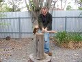 Woodchopping Frenzy Woodchopping Frenzy
