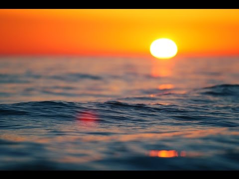 8 Hour Relaxing Delta Waves Sleep Music: Meditation Music, Sleeping Music, Sleep Hypnosis ☯676